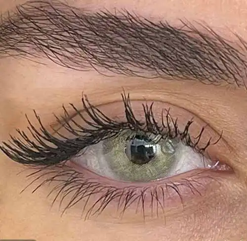 ونوس